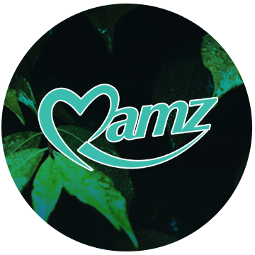 Mamz