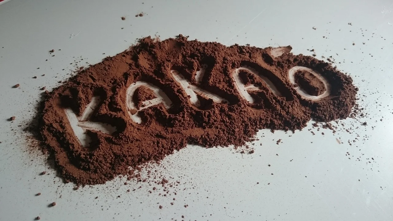 cocoa, chocolate, sweets-728207.jpg